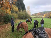 Ausritt - Rast bei Mellnau