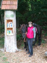 B&uuml;cherbaum bei Bracht